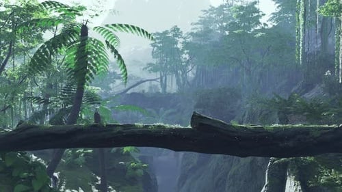 Way in Jungle of Malaysia