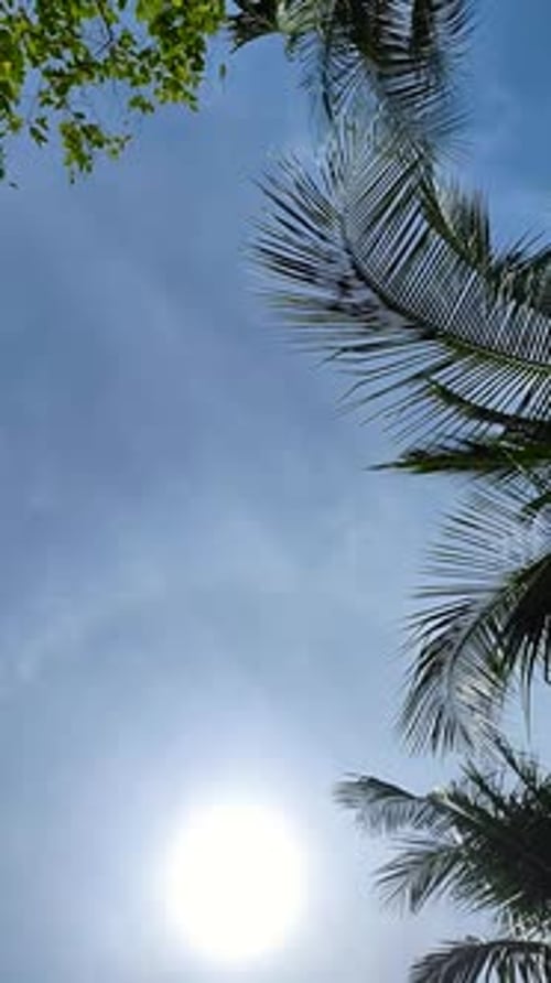 Soleil éclatant et ciel bleu