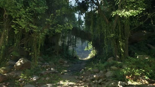 A Scenic Dirt Road Winding Through the Picturesque Landscape of New Zealand
