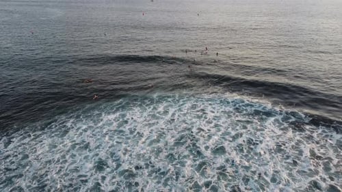 Surfers waiting for waves in the water at Hawaii