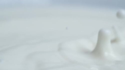 Milk Drops 26