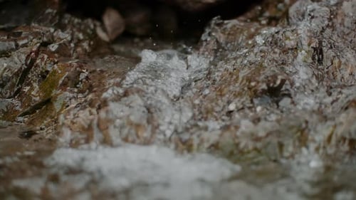 Pure Fresh Water Stream In Mountains Clean Water River Flowing