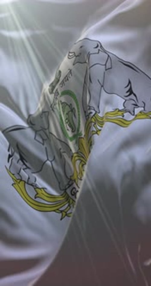 Flag of Kerala State