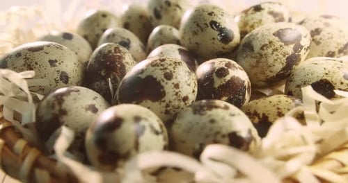 Close Up of Quail Eggs in Basket