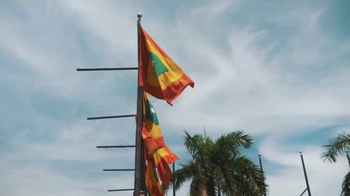 Tropical Flags Waving in the Wind on Island