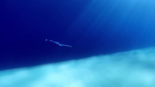 Freediver Swims in Clear Blue Ocean Water