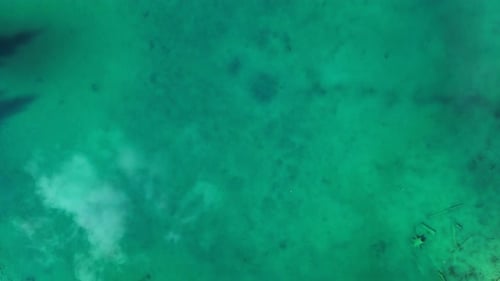 Karersee Lake with Mountain and Forest