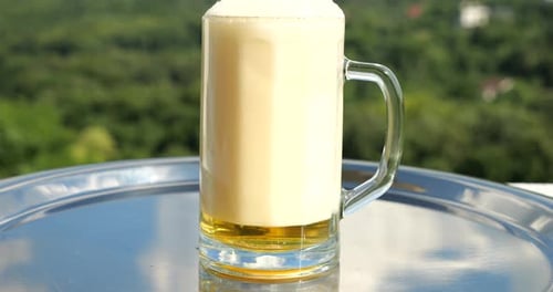 Beer is poured into a glass against the backdrop of a green summer forest. Slow motion.