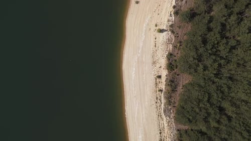 A top-down aerial view showcasing a wide sandy shoreline bordering a dense forest. The natural contr