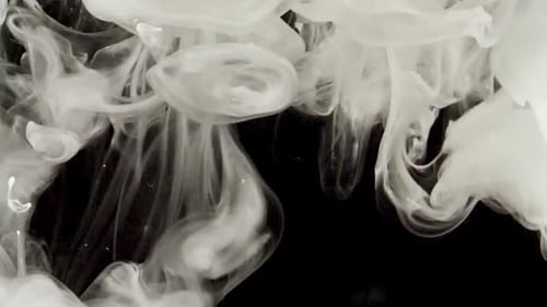 White Ink Swirling Abstractly on Black Background