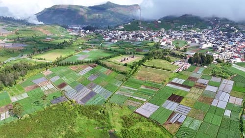 Drone footage of a fertile valley with rice fields with Ancient Temple of Arjuna