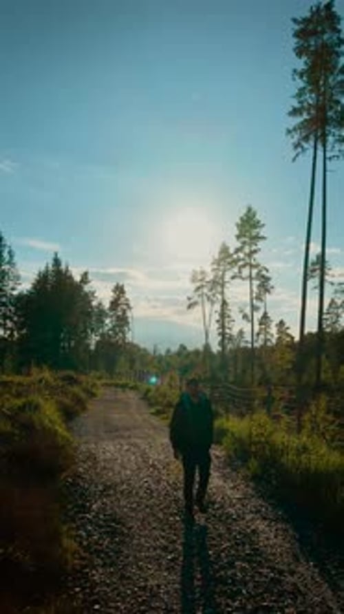 Person Walking on Forest Trail Toward Sunlight in Clear Weather Traveller Hiking Along Gravel Road