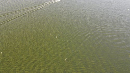 Aerial view of speedboat in shallow water. Travel and leisure activities concept