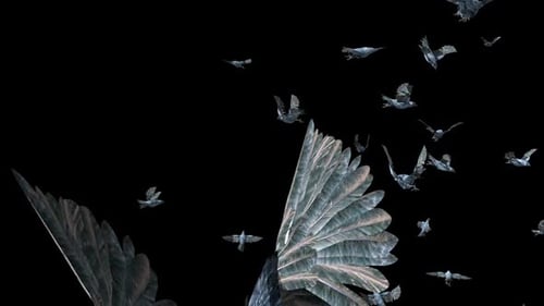 Flock of Crystal Birds Flying with Alpha Channel