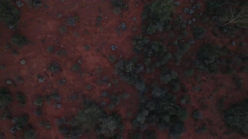 Panning overhead drone shot showing unique Australian outback habitat and iron-rich red earth