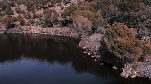 Aerial view of a forest and lake