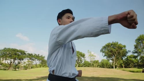 Taekwondo Fighter with Black Belt Performing Punches Training in Park