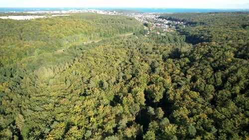 Zone de Witmomino vue aérienne au loin derrière les arbres, Gdynia, Pologne