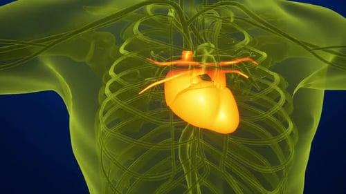 Un cœur humain entouré de flux d'énergie dans un univers futuriste