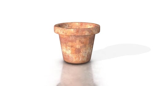 Rustic Terracotta Flower Pot