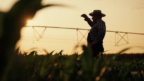 Silhouetted Man Standing in Field at Sunset