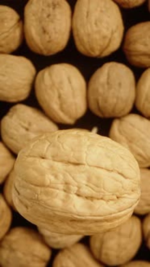 Vertical video. From a top-down view, the walnut rotates and falls into a cluster of other walnuts