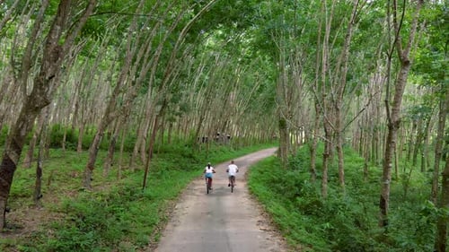 Couple Men and Women on Bicycle at a Rubber Plantation in Thailand