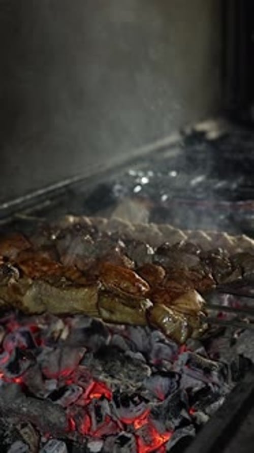 Meat Skewers Cooking on a Charcoal Grill