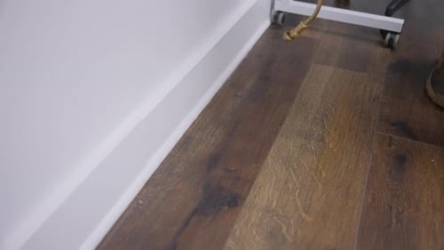 Schädlingsbekämpfung im modernen Bürointerieur