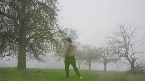 Enjoy a Misty Day Walk in the Beautiful Orchard Immersing Yourself in Its Enchanting Ambiance