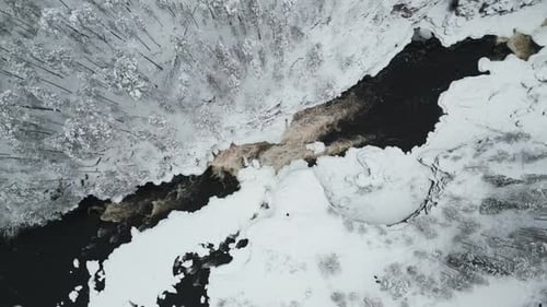 Aerial View Of Powerful River Among Snowy Coniferous Forests
