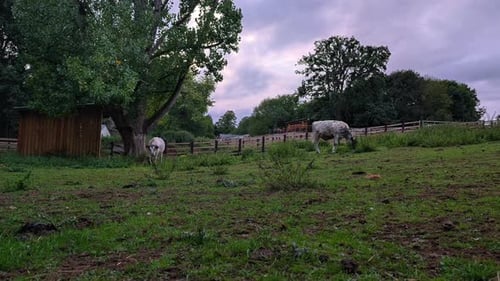 Tranquil Countryside Farm at Twilight