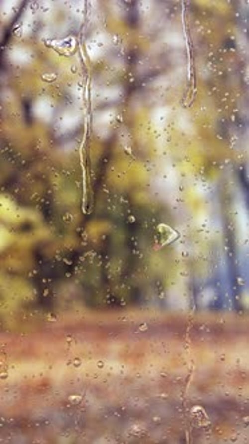 Seamless Loop of Raindrops on Window with Autumn Background