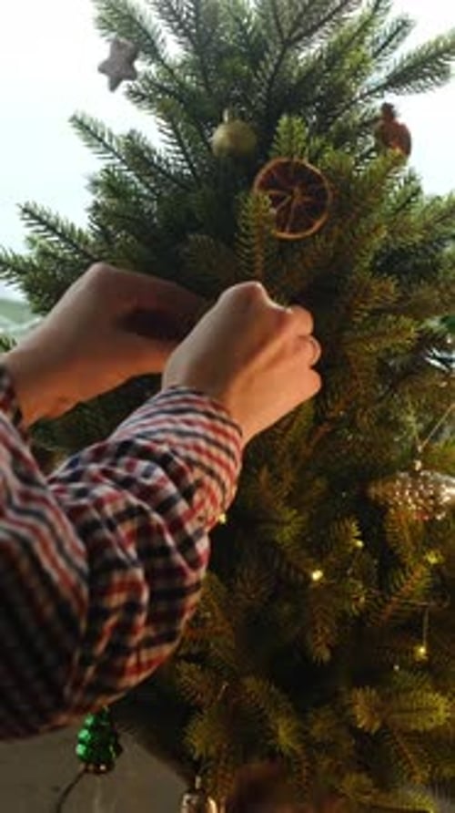Decorating a Christmas Tree with Dried Orange Slices