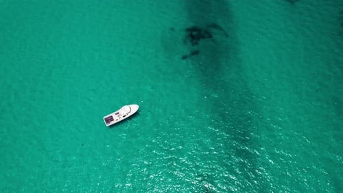 White fishing boat on vibrant turquoise ocean