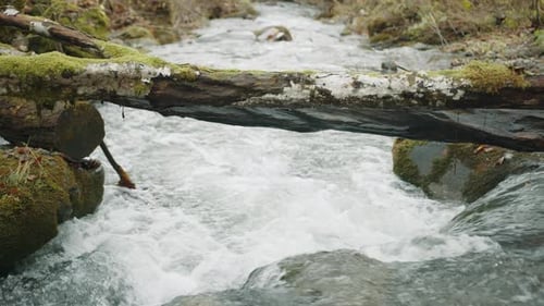 Stunning View of Small Natural Waterfall Flowing Into a Water Stream in Forest