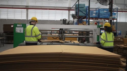 Arbeiter und Kartonverpackungsfabrik.