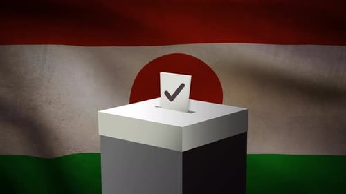 Casting vote into the ballot box during Niger election