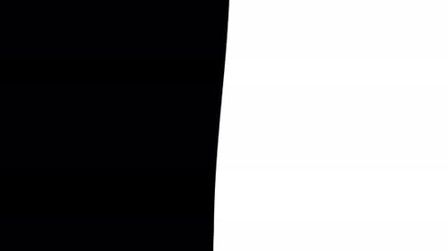 Geometric Grid Line Reveal Transition