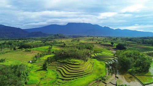 Wunderschöner Blick auf den Morgen, Indonesien, Panoramalandschaft, Reisfelder mit Schönheit, Farbe und natürlichem Himmel.