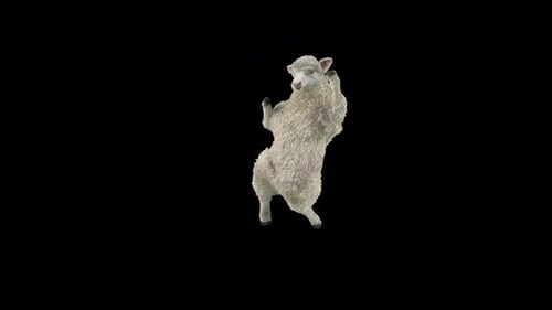 Dancing Sheep Standing on Hind Legs Funny 3D Animation
