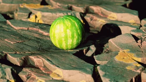 Watermelon Fruit Berry on Rocky Stones