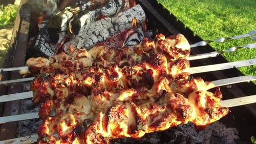 Shashlik meat roasting on skewers in a brazier outdoors a summer barbecue party