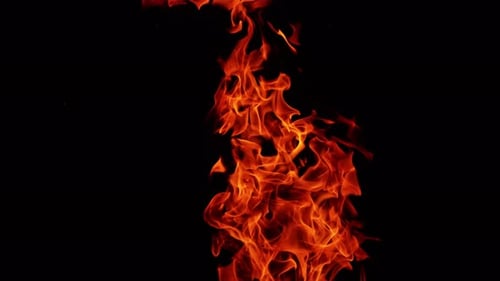 Dynamic Fire Flames on Black Background