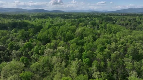 Drohnenflug über grüne Landschaft mit Waldbäumen und Häusern. Bergkette und Wolken am Himmel. Sp