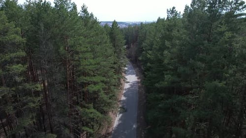 Estrada para a vila através da floresta