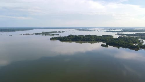 Forested flooded area submerged in flood water. Aerial view. Drone fly forward establishing shot