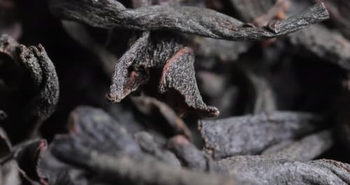 Black large-leaf tea Super Macro Close Up.
