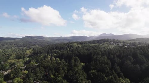 Cascade mountain trees in the autumn at Cannon Beach in the Pacific Northwest