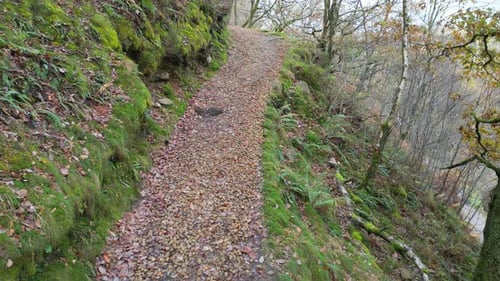 Pathway, Country Trail, leading through woodlands along the side of a moorland river. Winters scene